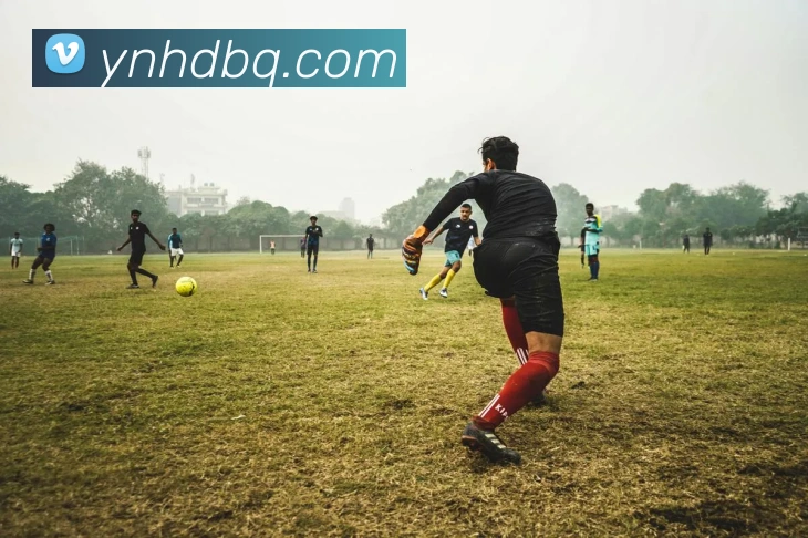 买球官方APP 封面图